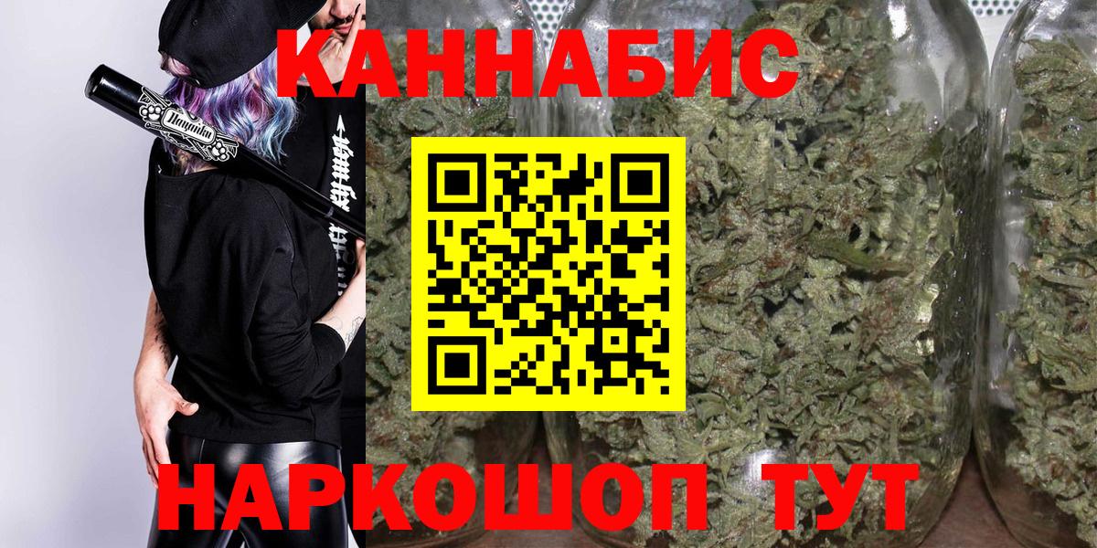 Каннабис планчик Карасук
